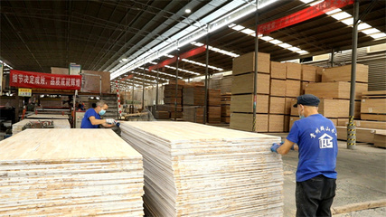 三都:技術創(chuàng)新謀發(fā)展 領跑生態(tài)板材&ldquo;賽道&rdquo;