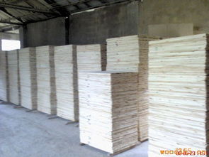 杉木拼板,柜子板,杉木工藝品專(zhuān)用板,家具用各種板材 金林木業(yè)