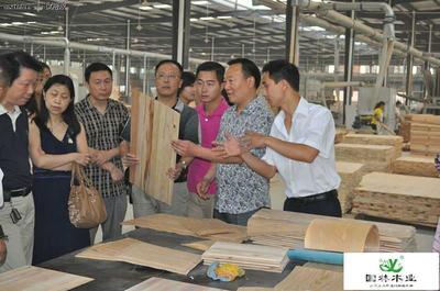 樂(lè)山國(guó)林家居用品招聘信息_公司前景_規(guī)模_待遇怎么樣