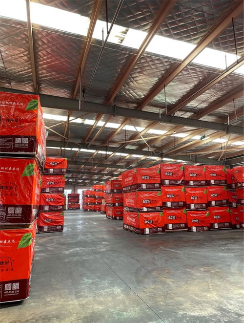 鼎立達榮獲金匠榜健康板材十大品牌 實力加冕，引領木業(yè)高質量發(fā)展